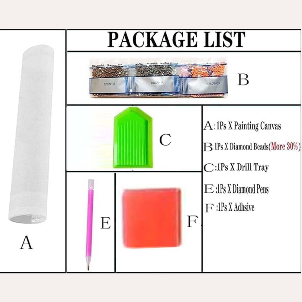 Kits de Pintura de Diamantes c - Resin Art Kit For Beginners reseña y precio